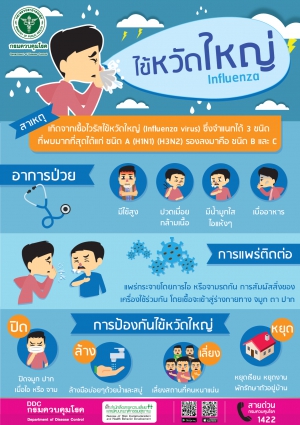 ความรู้เรื่อง โรคไข้หวัดใหญ่
