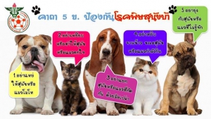 เตือนภัยโรคพิษสุนัขบ้า