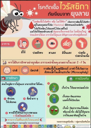 โรคติดเชื้อไวรัสซิกา ภัยเงียบจากยุงลาย